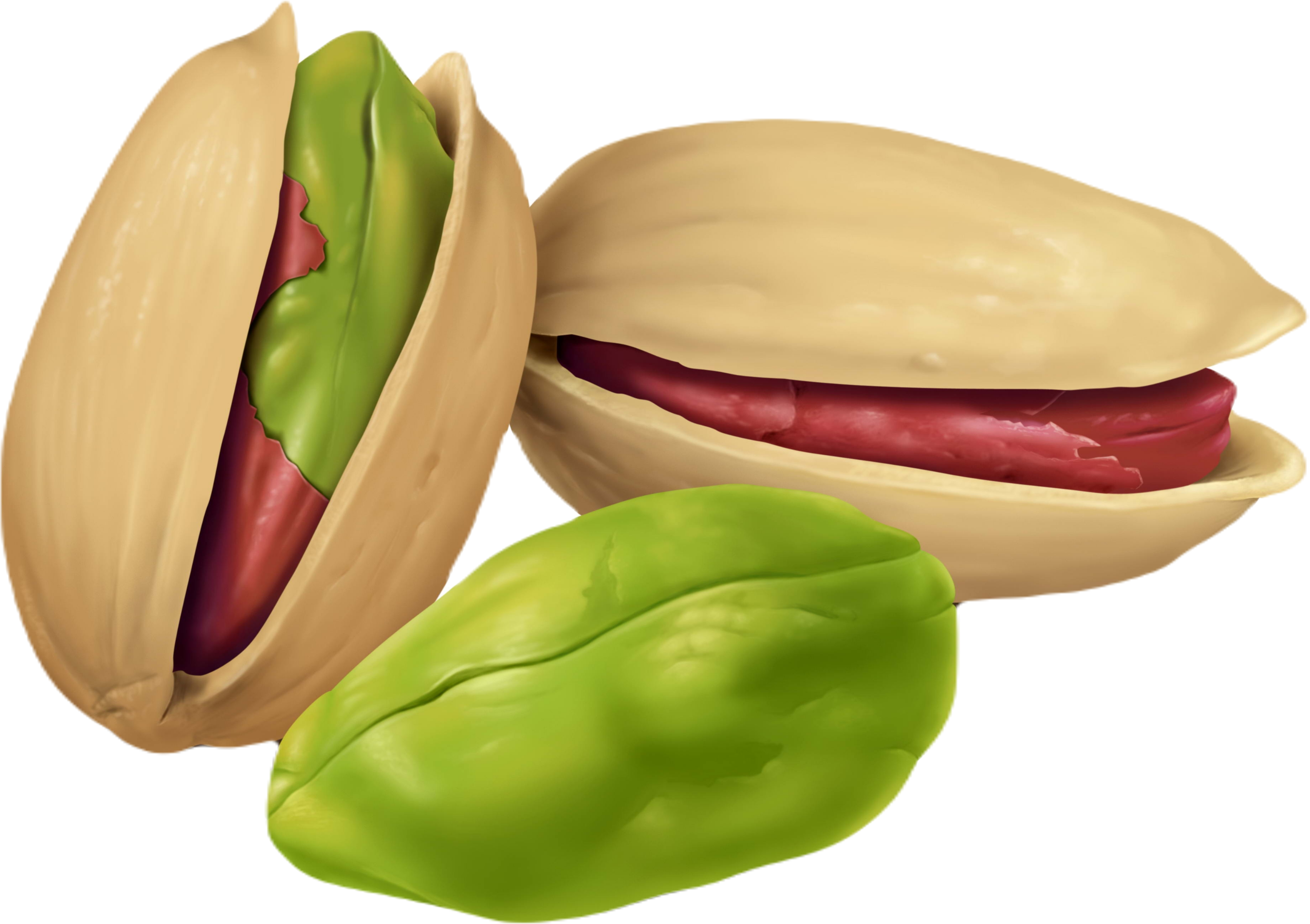 ÜRETİM VE FABRİKA